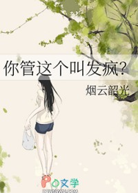 你管这个叫发疯